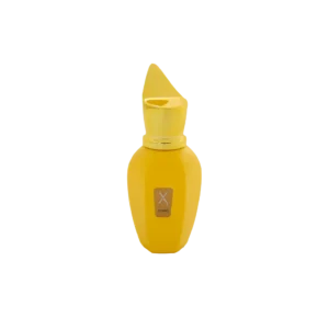 ادوپرفیوم نایس Nice مدل زرجوف کورو Xerjoff Coro حجم 30 میل