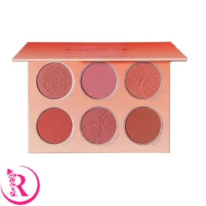 پالت رژگونه 6 رنگ نارنجی فلورال فلاش شیگلم Sheglam Floral Flush Blush Palette